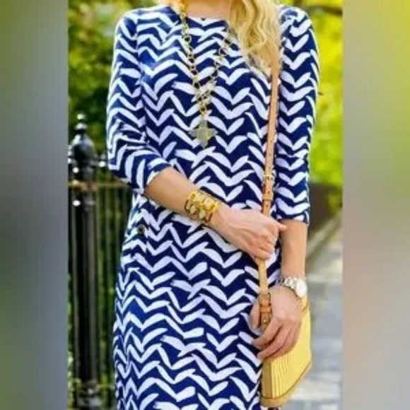 Lilly Pulitzer Womens Charlene Got Lucky Bird Seagull Chevron Sheath Dress - Picture 2 of 12